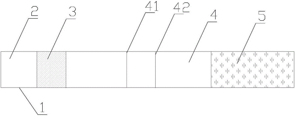 Color-fluorescence dual-function immunochromatography test strip and preparation method thereof