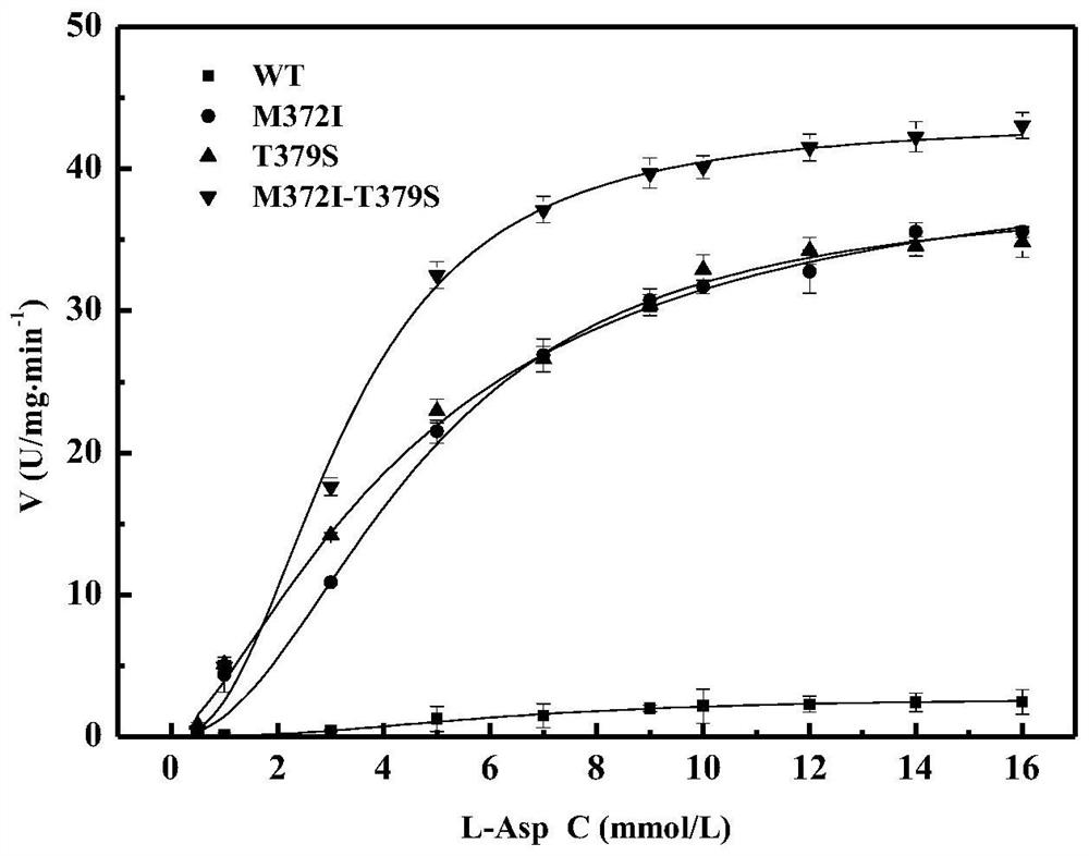 High enzyme activity aspartokinase mutant, engineering bacteria and preparation method of the mutant