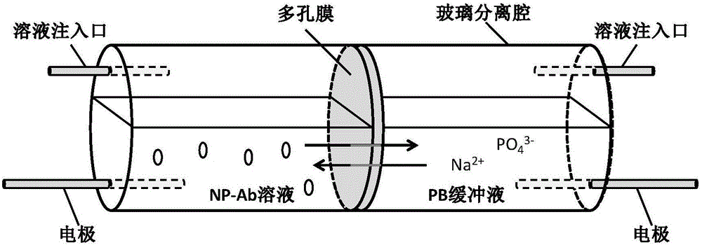 Antibody modified nanoparticle electrophoresis flowing type ELISA (enzyme linked immunosorbent assay) method