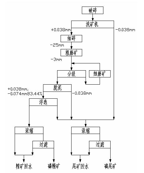 Direct and reverse flotation desliming process of collophanite