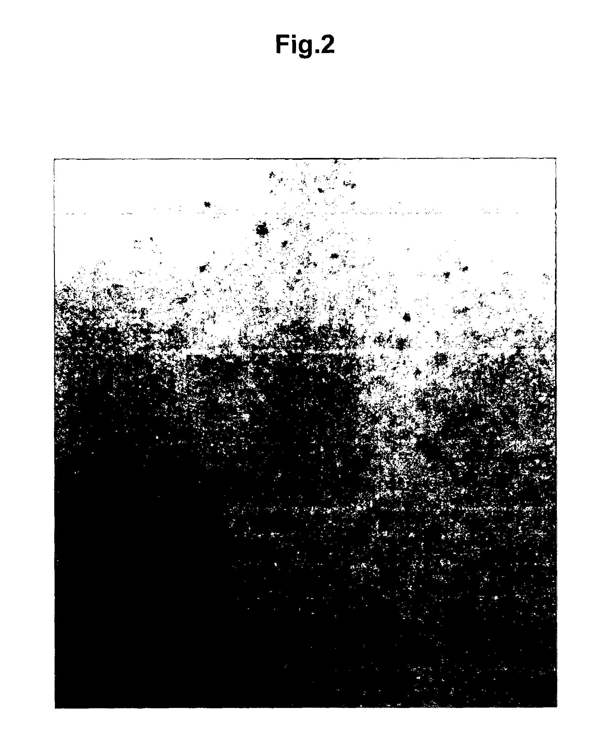 Antibacterial composition for topical use