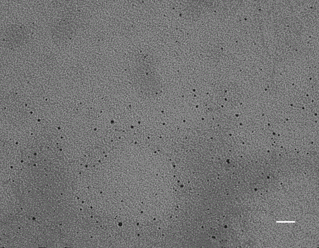 A kind of method that uses short amylose as template to prepare water-soluble nano-silver