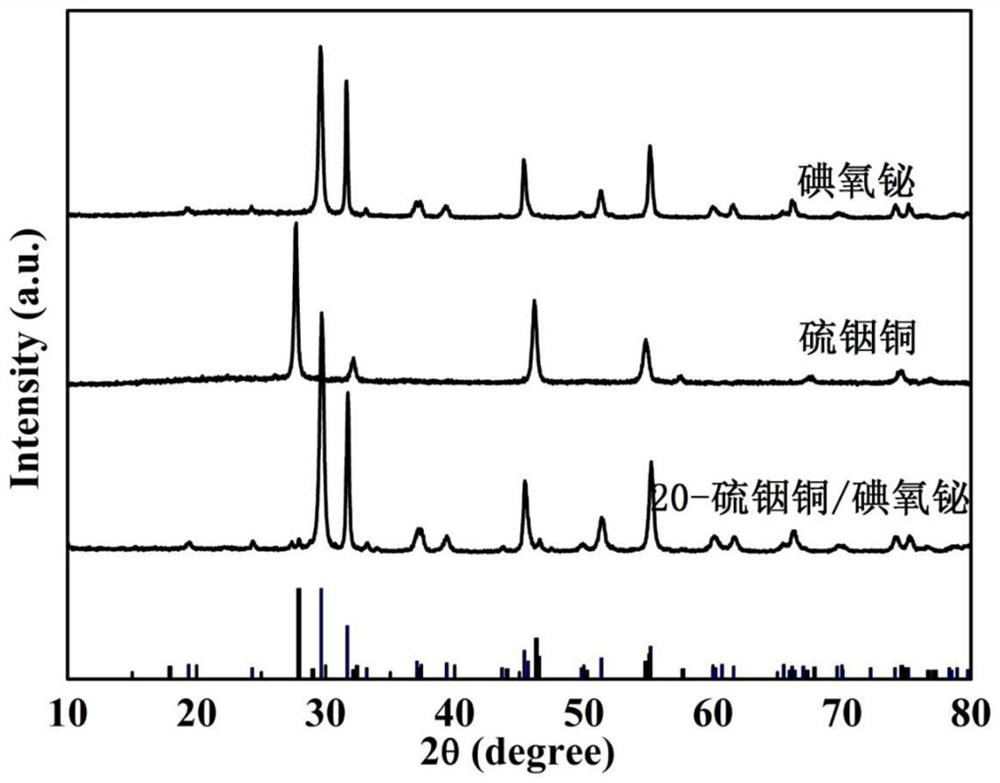 a kind of cuins  <sub>2</sub> Quantum dot/bioi composite photocatalyst and its preparation method and application