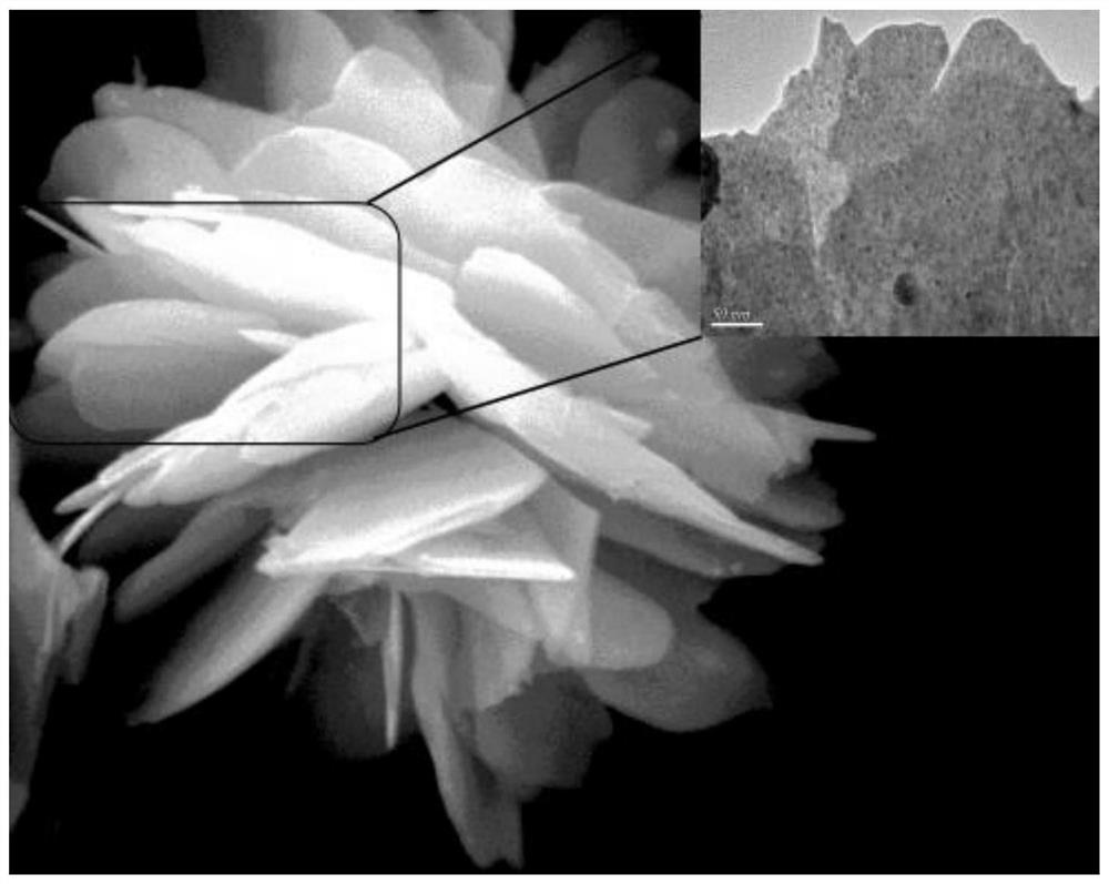 a kind of cuins  <sub>2</sub> Quantum dot/bioi composite photocatalyst and its preparation method and application