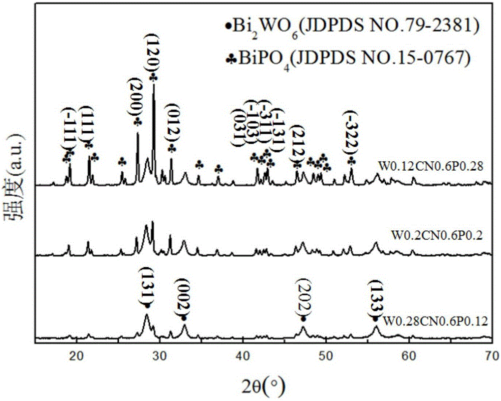 Bismuth tungstate/carbon nitride/bismuth phosphate composite photocatalyst as well as preparation method and application thereof