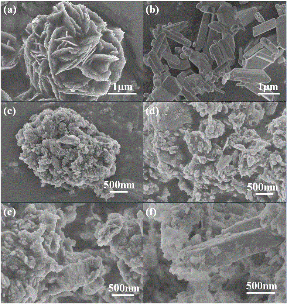 Bismuth tungstate/carbon nitride/bismuth phosphate composite photocatalyst as well as preparation method and application thereof