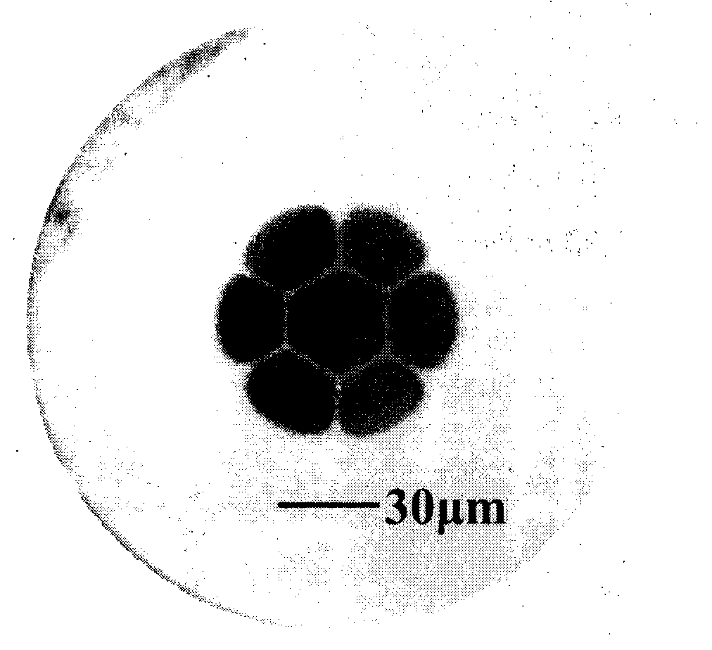 Dye laser based on novel SMOF