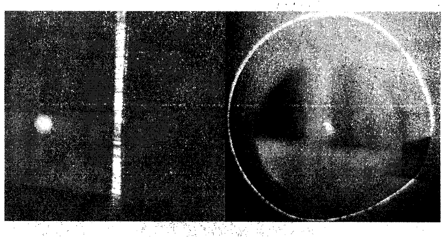 Dye laser based on novel SMOF