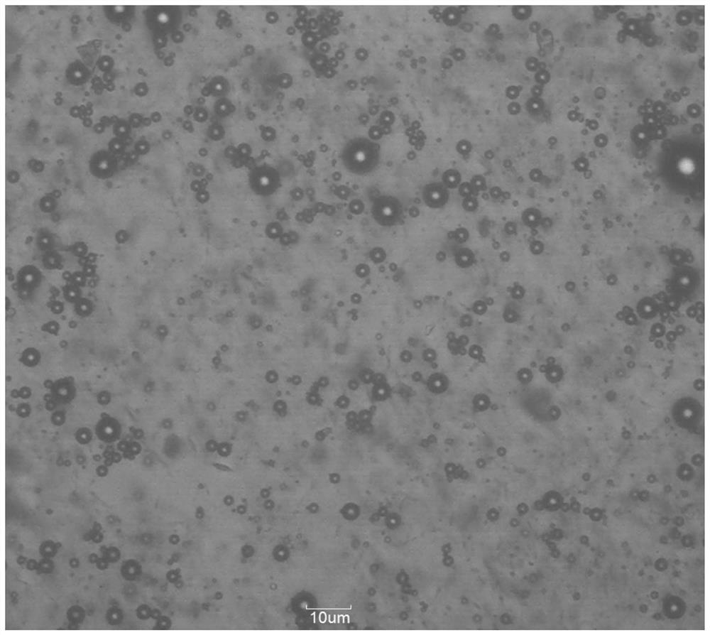 Magnetic acoustic contrast agent composition, magnetic acoustic contrast agent, magnetic microvesicle acoustic contrast agent and preparation method of magnetic acoustic contrast agent