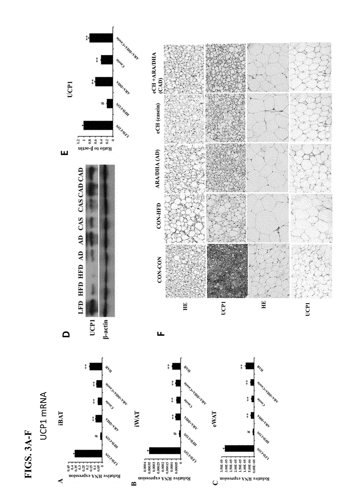 Methods for Inducing Adipocyte Browning, Improving Metabolic Flexibility, and Reducing Detrimental White Adipocyte Tissue Deposition and Dysfunction