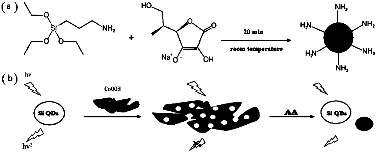 Preparation method and application of water-soluble green fluorescent silicon quantum dot