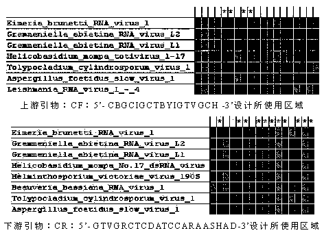 A degenerate primer RT-PCR detection method for Eimeria virus