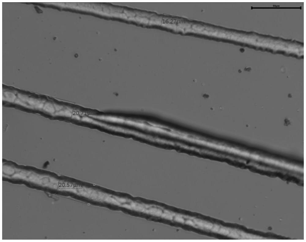 Spinal cord injury repair material and preparation method of tissue engineering scaffold