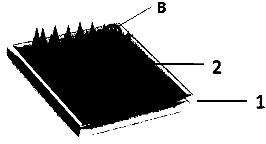 Graphene-based field emission cold cathode and preparation method