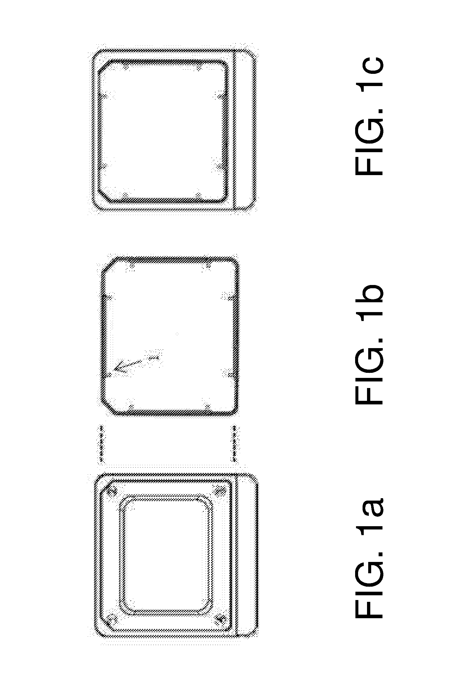 Container for culturing, micro manipulation and identification of small specimens