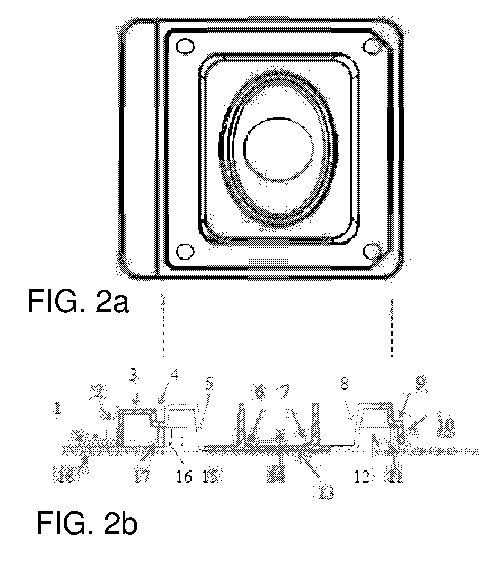 Container for culturing, micro manipulation and identification of small specimens