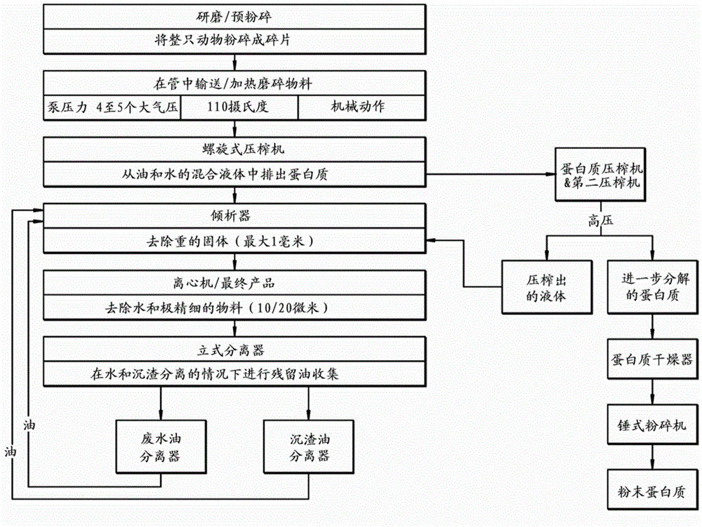 Systems and methods for improved rendering