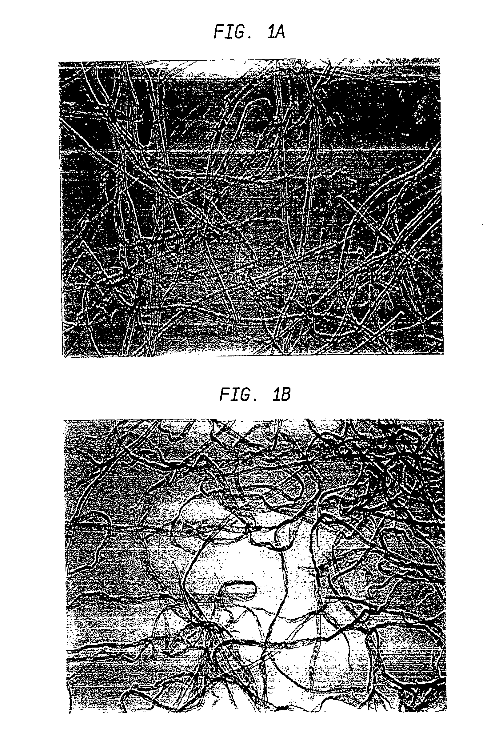 Method of providing papermaking fibers with durable curl