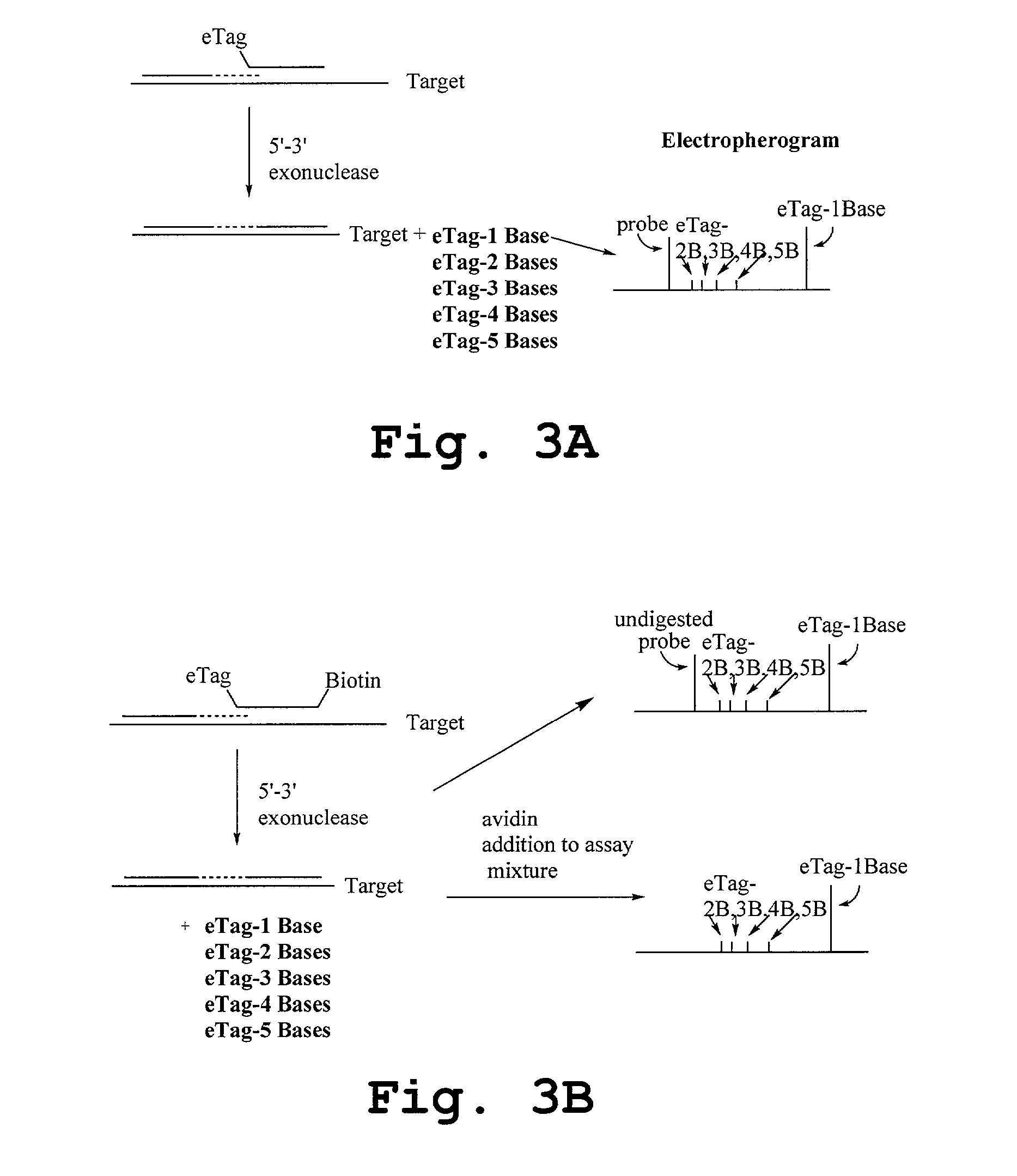 Methods employing generalized target-binding e-tag probes