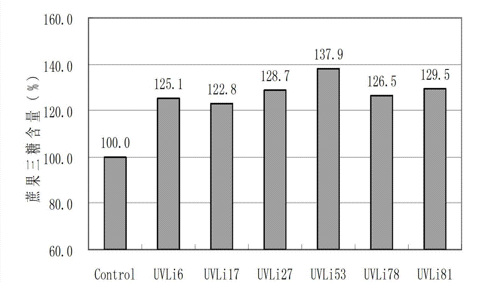 Bacterial strain for producing fructosyl transferase and preparation method thereof