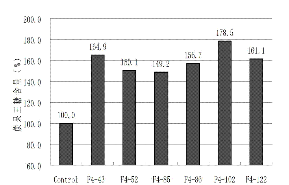 Bacterial strain for producing fructosyl transferase and preparation method thereof