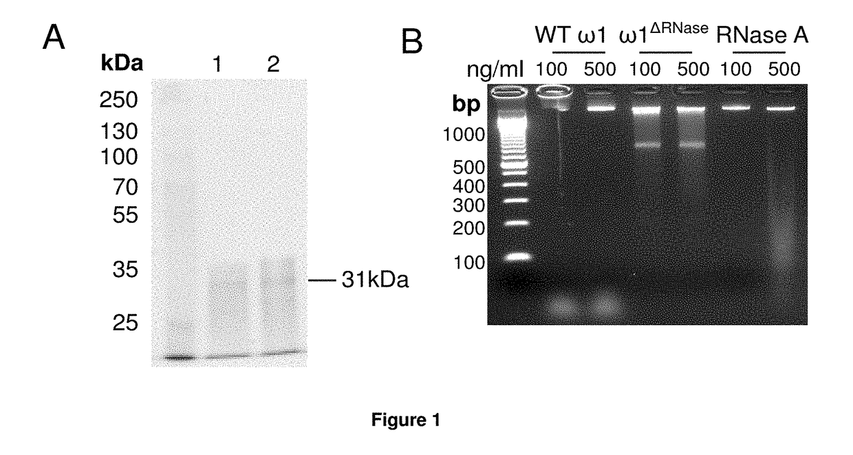 Treatment of diseases asssociated with fat accumulation