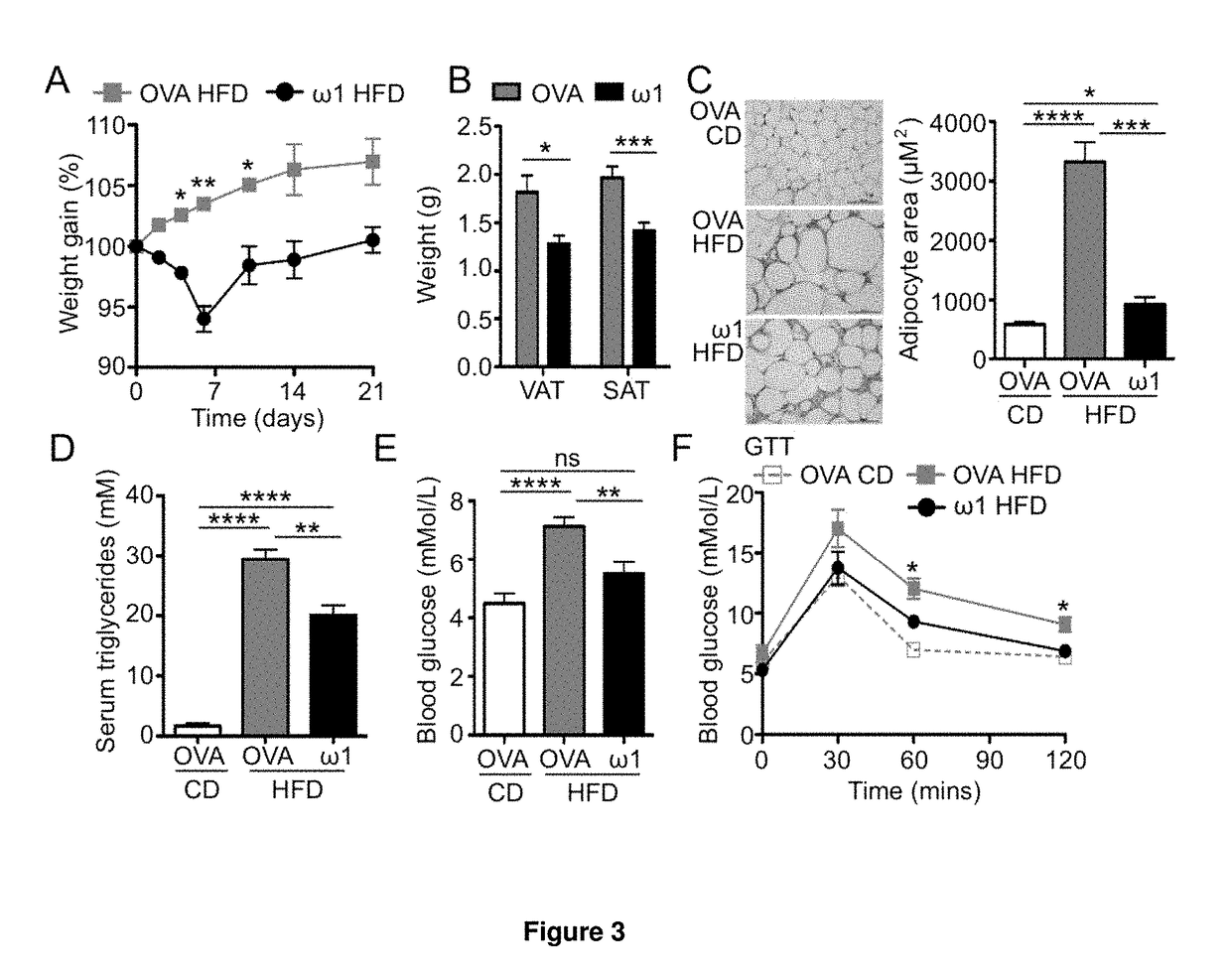 Treatment of diseases asssociated with fat accumulation