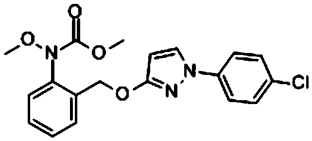 Bactericidal composition containing pyraclostrobin and hydantoin