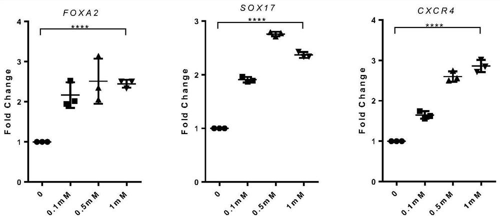 Culture medium and culture method for differentiating mammal pluripotent stem cells into definitive endoderm cells