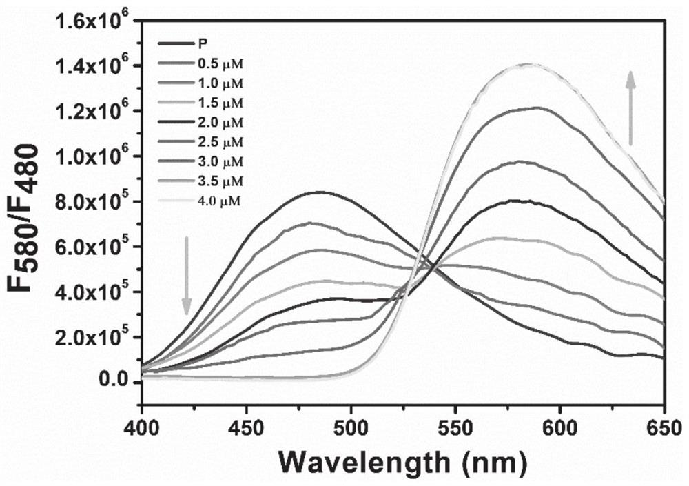 Ratio type two-photon fluorescent probe as well as preparation method and application thereof