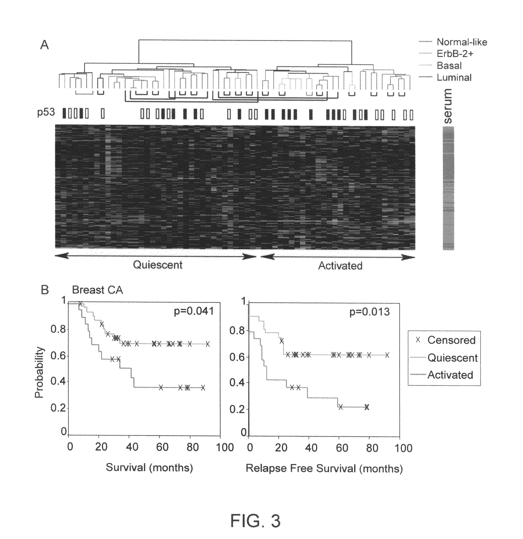 Gene expression signature for prediction of human cancer progression