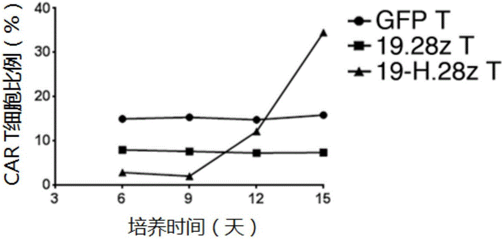 Chimeric antigen receptor (CAR) and application thereof