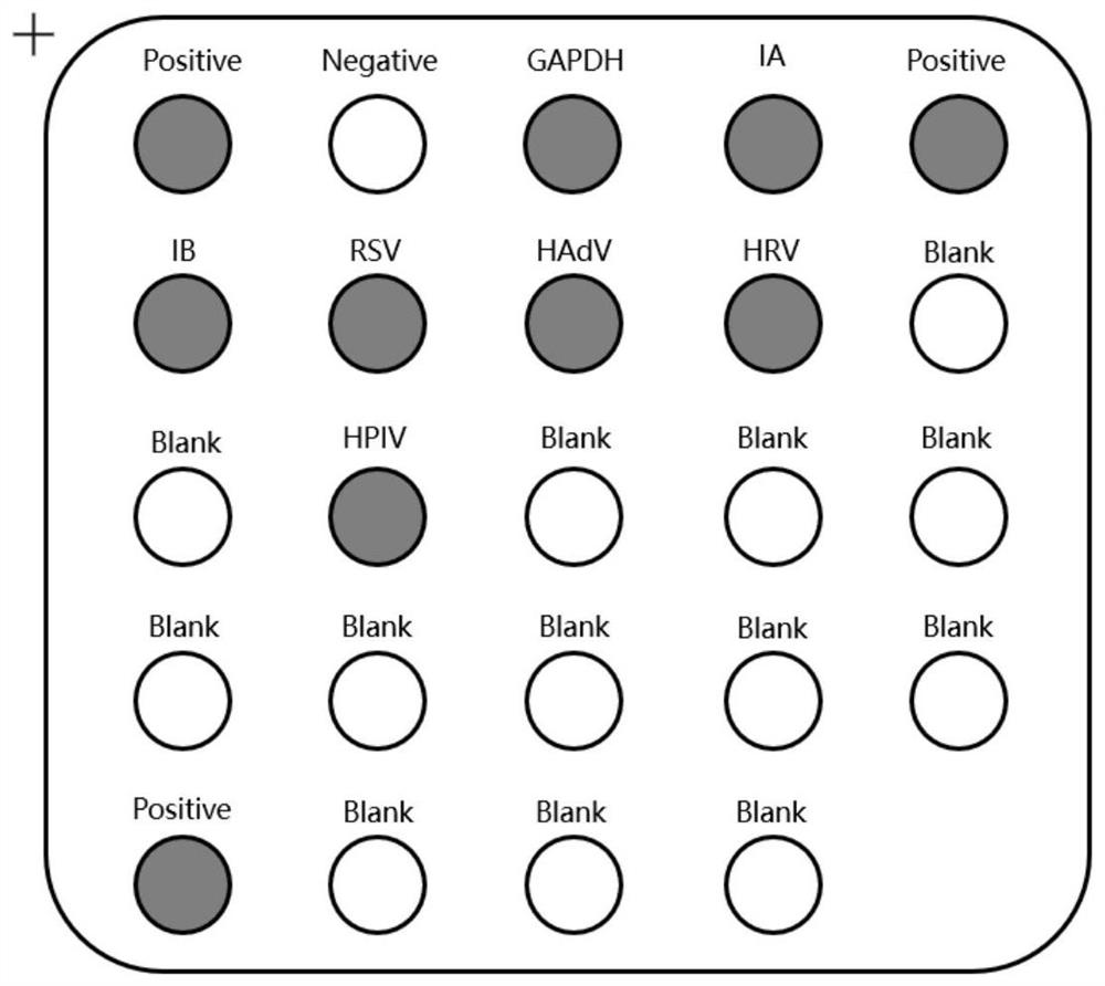 Method for detecting various respiratory viruses based on gene membrane chip