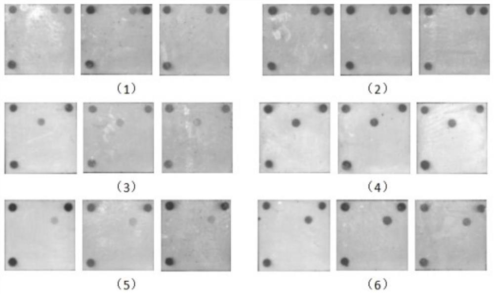 Method for detecting various respiratory viruses based on gene membrane chip