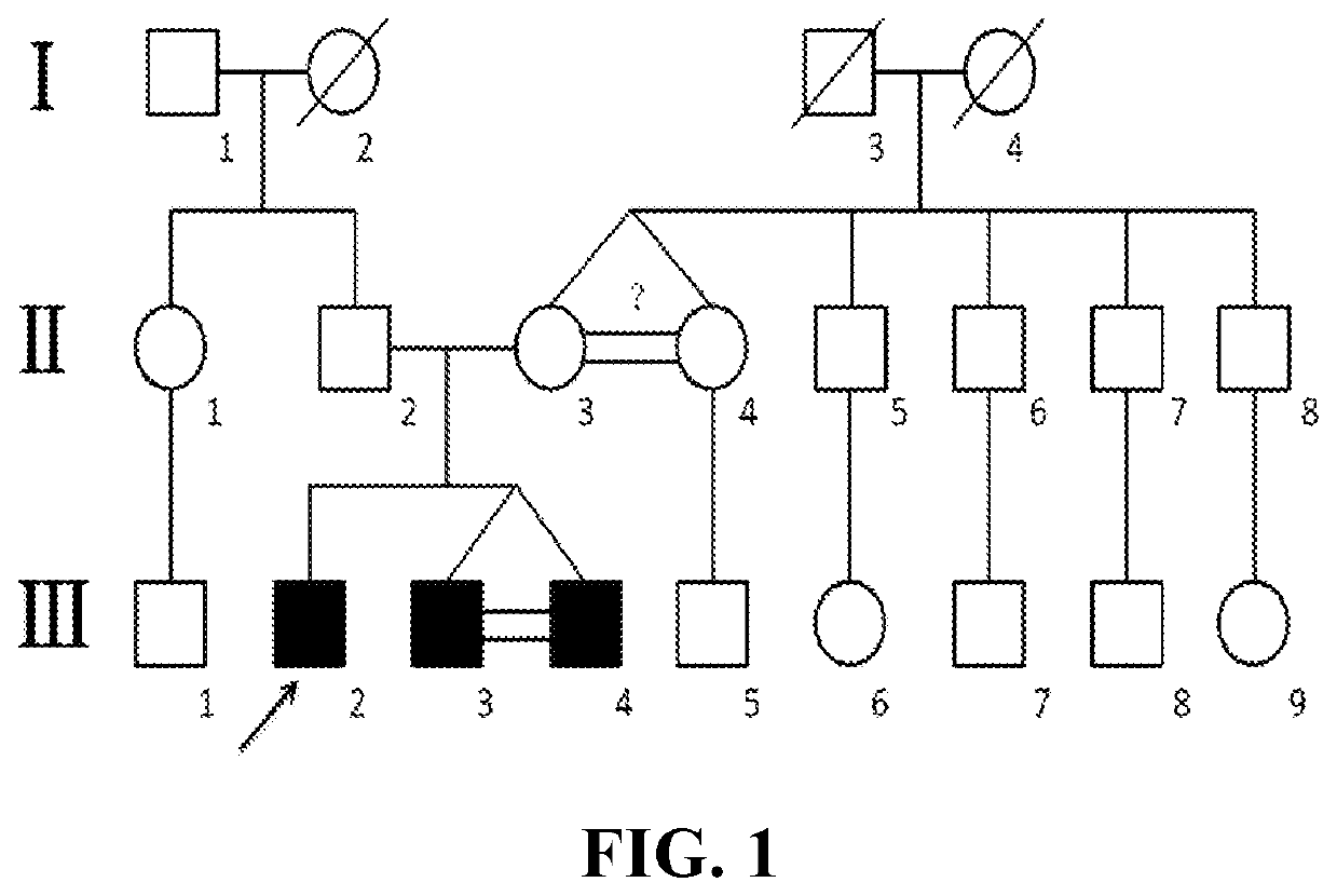 Set of Pathogenic Genes of Neuropsychiatric Retardation and Advanced Cognitive Disorder and Detection Primer and Kit Thereof