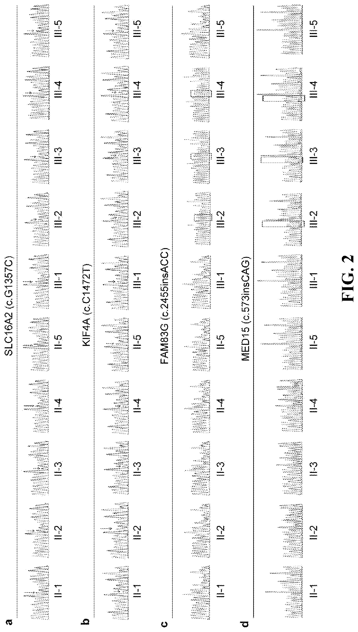 Set of Pathogenic Genes of Neuropsychiatric Retardation and Advanced Cognitive Disorder and Detection Primer and Kit Thereof