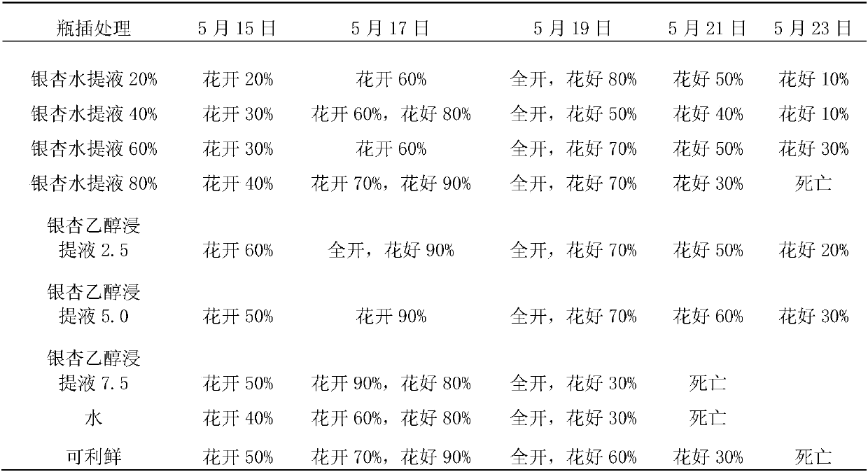 Manufacturing process for carnation cut flower freshness-keeping reagent of ginkgo extracted liquid