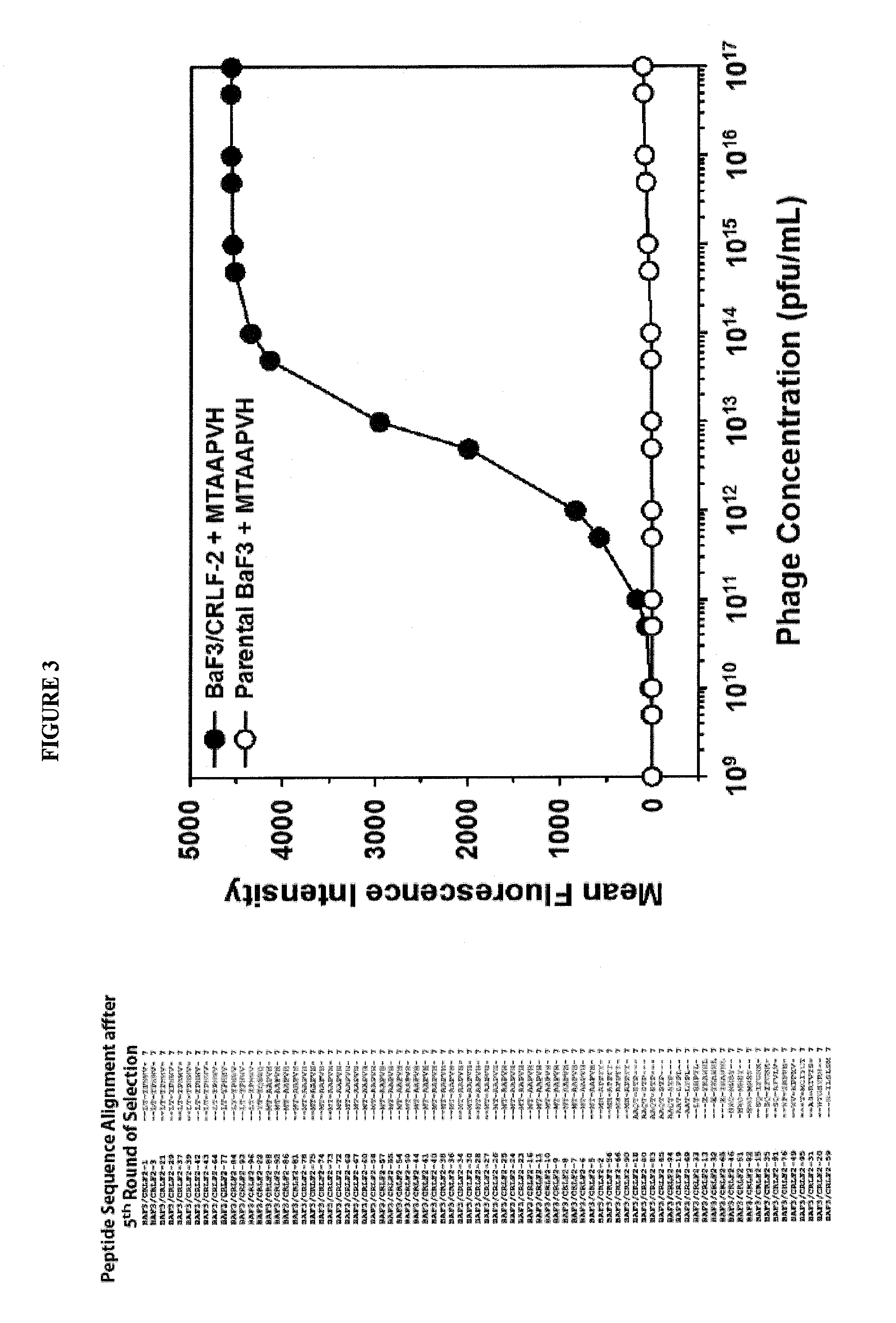 Crlf-2 binding peptides, protocells and viral-like particles useful in the treatment of cancer, including acute lymphoblastic leukemia (ALL)