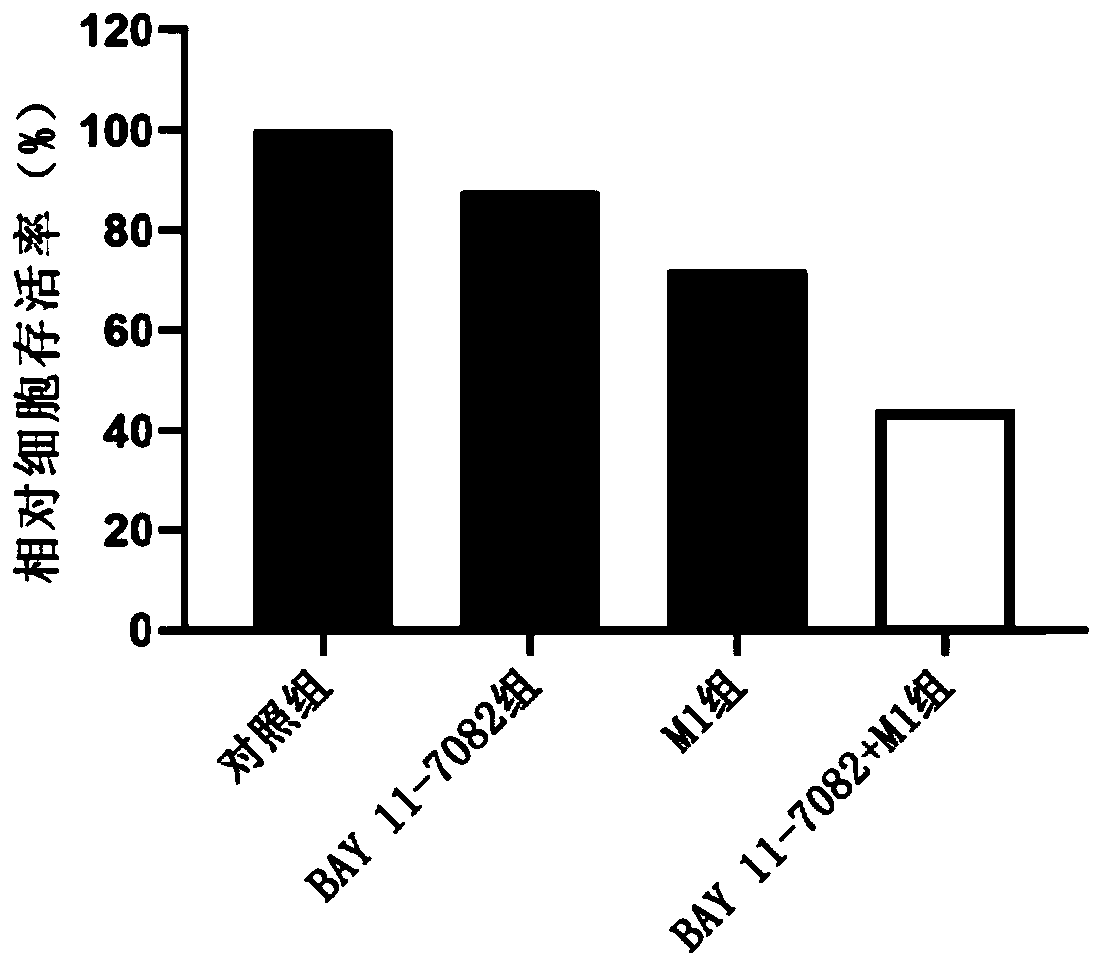 Application of ubiquitin-binding enzyme E2 inhibitor and oncolytic virus in preparation of antitumor drugs