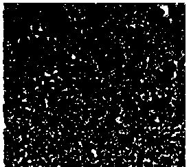 Preparation method of organic titanium precursor polymer TPP-II and application of organic titanium precursor polymer TPP-II in special coating