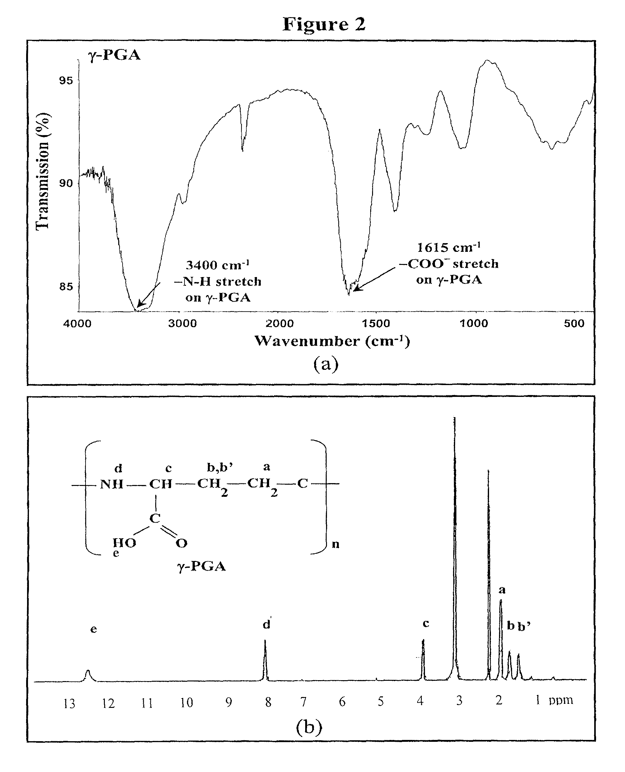 Pharmaceutical composition of nanoparticles