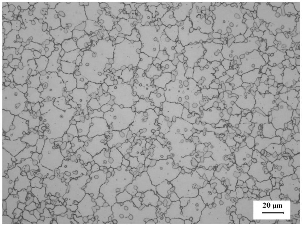 Novel carbide-reinforced cobalt-based superalloy regulator and preparation method thereof