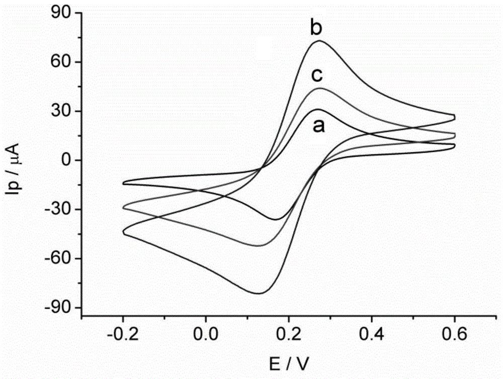 Preparation method of estradiol magnetic molecularly imprinted nanoparticle electrochemical sensing membrane