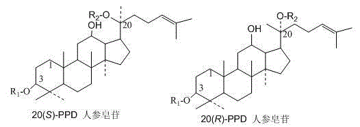 Method for preparing ginseng rare saponin by virtue of microorganism enzymatic conversion of ginsenosid Re