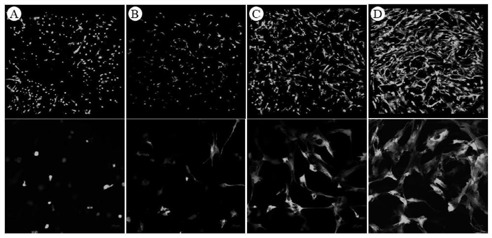 3D printing bio-ink capable of constructing multi-level bionic pore structure, preparation method of 3D printing bio-ink and printing method