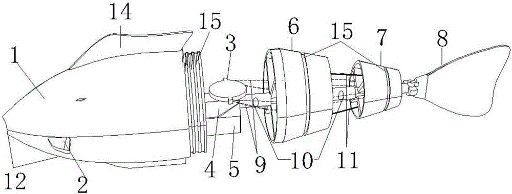 Skeleton-type multi-chord pulling underwater robot fish