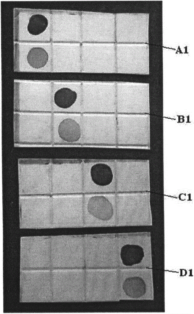 Method for high specificity detection of target DNA in sample, and application thereof