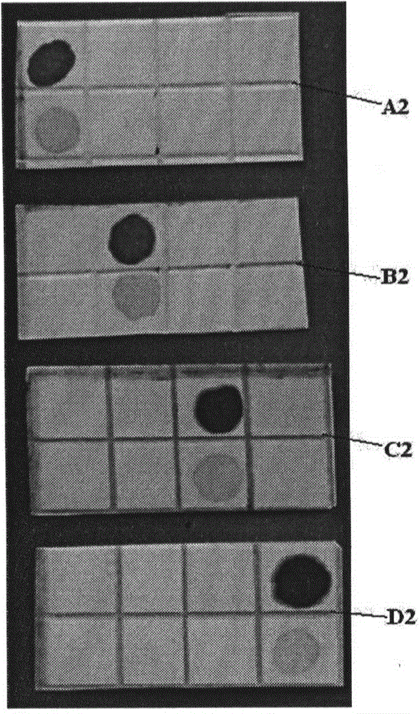 Method for high specificity detection of target DNA in sample, and application thereof