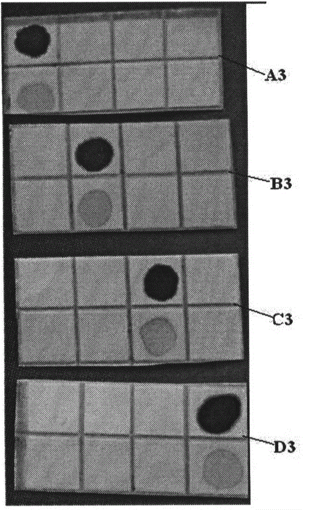 Method for high specificity detection of target DNA in sample, and application thereof