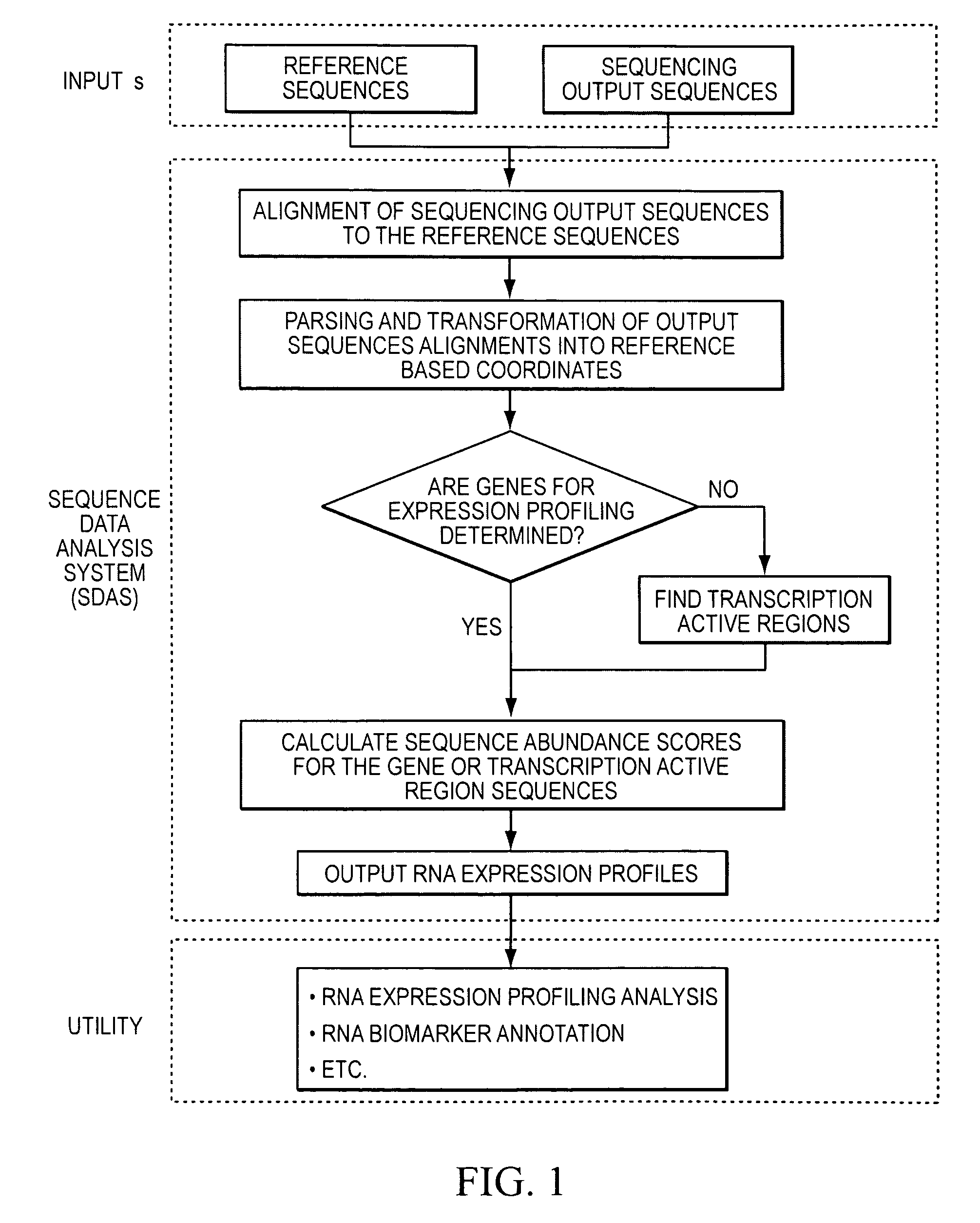 Method and system to characterize transcriptionally active regions and quantify sequence abundance for large scale sequencing data